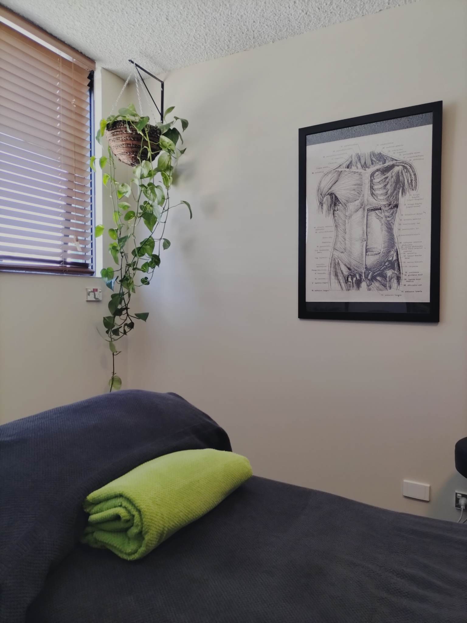 melbourne-myotherapy-2 A massage room in Melbourne with a cozy setup, complete with a green towel and anatomical illustration on the wall, symbolizing a relaxing environment for joint mobilisation therapy.